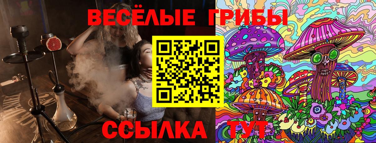 сколько стоит  Вход с VPN  Донской  Псилоцибиновые грибы ЛСД 